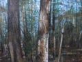 Stamm # 1.7 (Respiro)-2011-tecnica mista su tela-80 x 100 cm..JPG